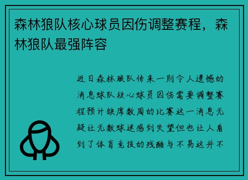 森林狼队核心球员因伤调整赛程，森林狼队最强阵容