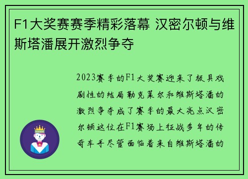 F1大奖赛赛季精彩落幕 汉密尔顿与维斯塔潘展开激烈争夺